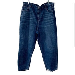 Size 24 American eagle mom jeans